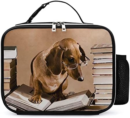 Dachshund Profesör Kitap Kullanımlık yemek taşıma çantası Yalıtımlı öğle yemeği kutu konteyner Ofis İşleri İçin Piknik Seyahat