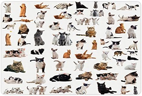 Lunarable Cat Lover Yiyecek ve Su için Evcil Hayvan Matı, Miyavlayan Safkan Norveç Siyam Kedileri ve Yavru Kedi Grubu, Köpekler
