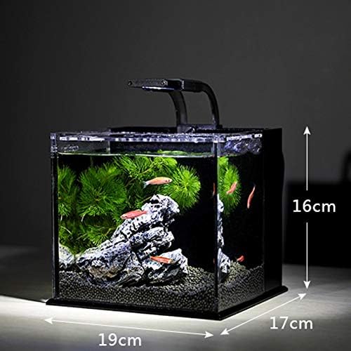 TWDYC Küçük Balık Tankı Küçük Masaüstü Yaratıcı Peyzaj Ekolojik Tankı Mikro Peyzaj Akrilik Mini Akvaryum