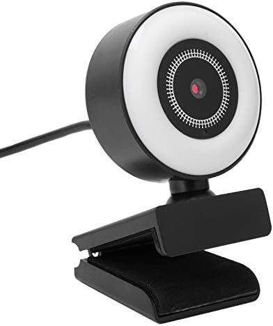 Mikrofon kamerası, gürültü önleyici 1080P dahili mikrofon Video kamerası taşınabilir otomatik odaklama için ışık ile canlı