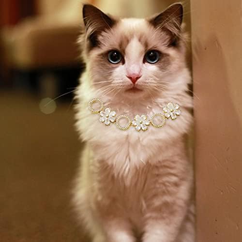 Wlpetty Köpek Yaka Kedi Yaka Ayrılıkçı Rhinestones Bling Diamante Yaka Ayarlanabilir Bling Yaka Kediler Kitty Kız ve Küçük