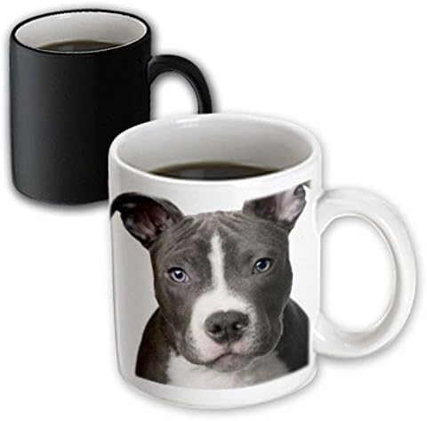 3dRose Köpekler Pitbull-Amerikan Pit Bull Terrier Köpek Yavrusu-Kupalar (mug_4240_9)