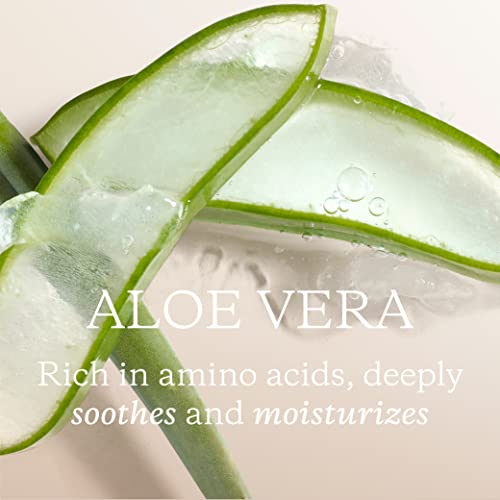 Aloe Veralı KORA Organics Naneli Mineral Nemlendirici Sis / Yenileme ve İyileştirme / Sertifikalı Organik / Zulümsüz / 3.38