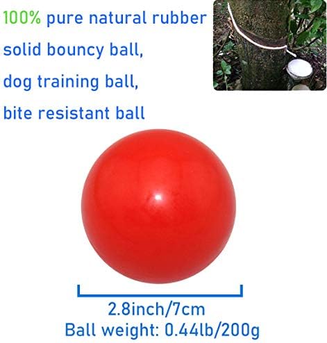 Çiğneme ve eğitim için Sunglow dayanıklı köpek topu, sert yıkılmaz köpek çiğnemek oyuncak top,katı kauçuk kabarık top, köpeğinizin