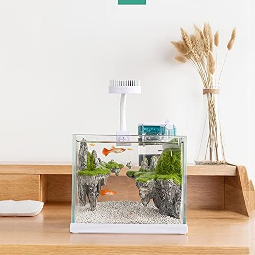 n / a su tankı akvaryum Masaüstü Oturma Odası Ev Küçük Cam Ekolojik japon balığı Tankı
