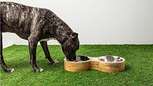 Cesur Bark Şekil 8 Besleyici-Premium Köpek ve Kedi Çift Kase, Yiyecek ve Su için Mükemmel 2 Paslanmaz Çelik uçla birlikte
