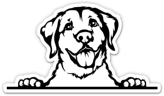 Golden Retriever Sticker-3 laptop etiketi - Su Geçirmez Vinil Araba, Telefon, Su Şişesi-Golden Retriever Köpek Çıkartması