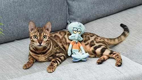 Evcil Hayvanlar için Sünger Bob Kare Pantolon Squidward Kedi Oyuncak, Kedi Nanesi ile Aşılanmış Kicker Oyuncak / Resmi Sünger