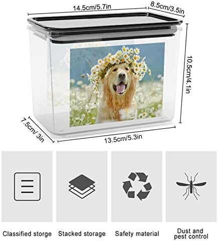 Golden Retriever Köpek Güzel Çelenk saklama kutusu Plastik Gıda Organizatör Konteyner Kutuları kapaklı Mutfak için
