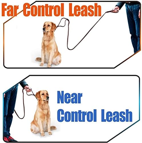 ZLXDP Köpek Tasma 2 Yastıklı Taşıma Kolları Ekstra Kontrol Örgülü Eğitim evcil hayvan tasması Orta ve Büyük Köpekler için