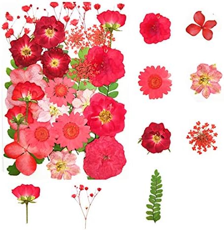 Gerçek Kurutulmuş Çiçekler Preslenmiş Kurutulmuş Çiçekler, DIY Mum Reçine Takı Kolye El Sanatları Sanat Çiçek Dekorasyonu