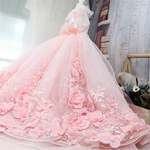 WZHSDKL Köpek Giysileri Pet düğün elbisesi Pet Pembe Çiçekler Açan Ağır Nakış Kuyruk düğün elbisesi (Boyut: Orta)