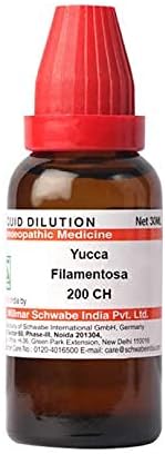 Dr Willmar Schwabe Hindistan Yucca Filamentosa Seyreltme 200 CH Şişe 30 ml Seyreltme