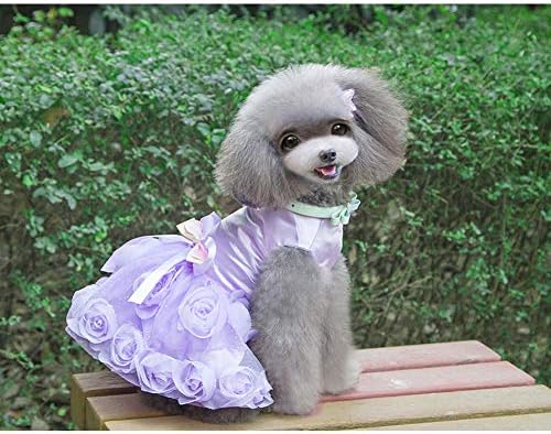 DELİFUR Köpek düğün elbisesi Pet Doğum Günü Partisi Tutu Elbise Küçük Köpekler Kediler için (S, Mor)